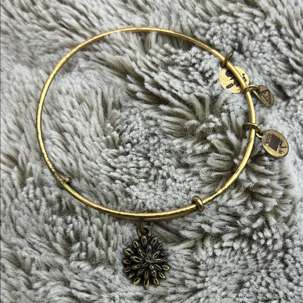 Alex and Ani Gold Sunburst Charm Bracelet with Expandable Wire